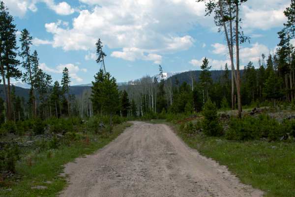 Beaver Meadows - FS 80086