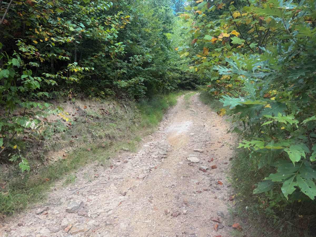 Tower Trail 30  photo 2