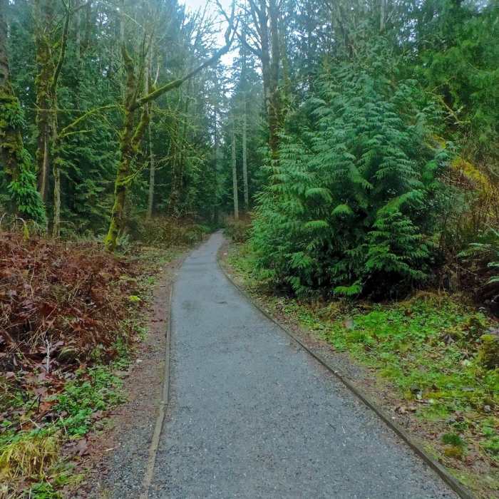 Near West Tiger 3 Trail