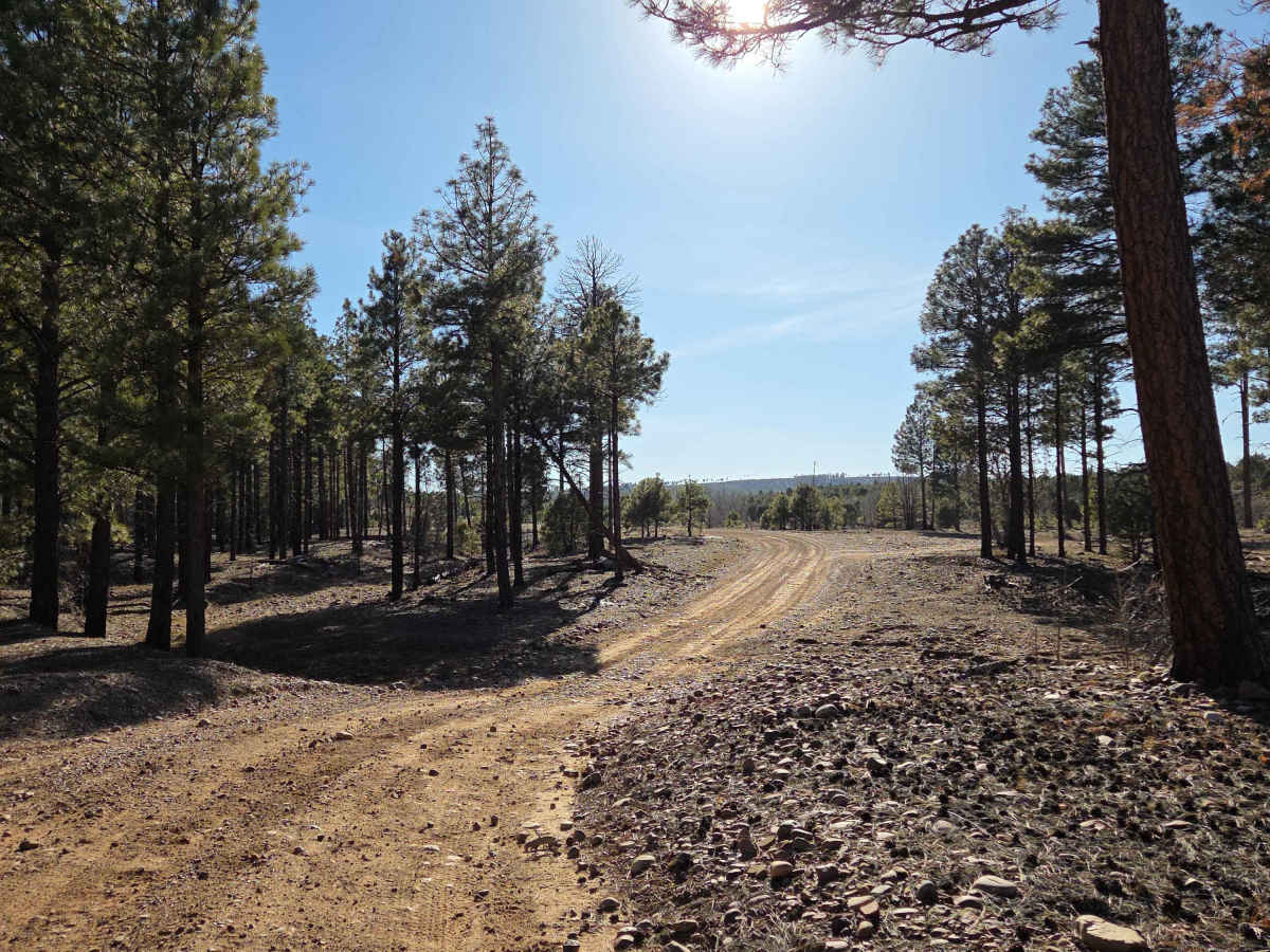 Old Verde Road trail photo