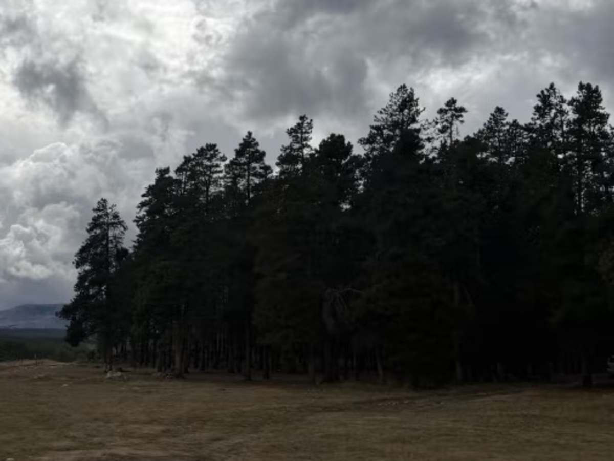 Circle Park photo 6