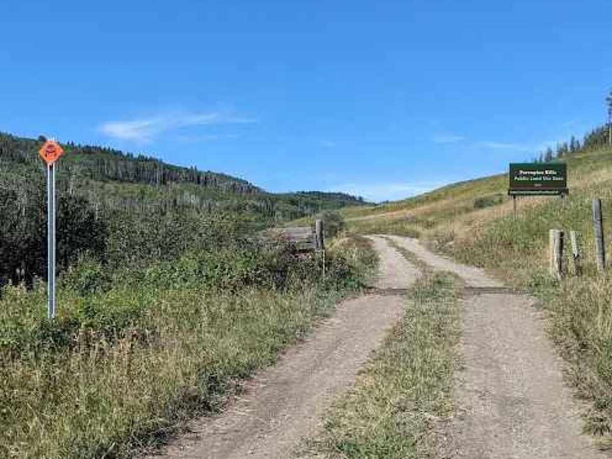 Lyndon Creek Road - Shared Section trail photo