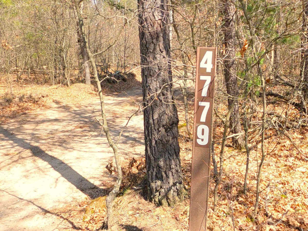 Smith Creek - FS 4779 trail photo