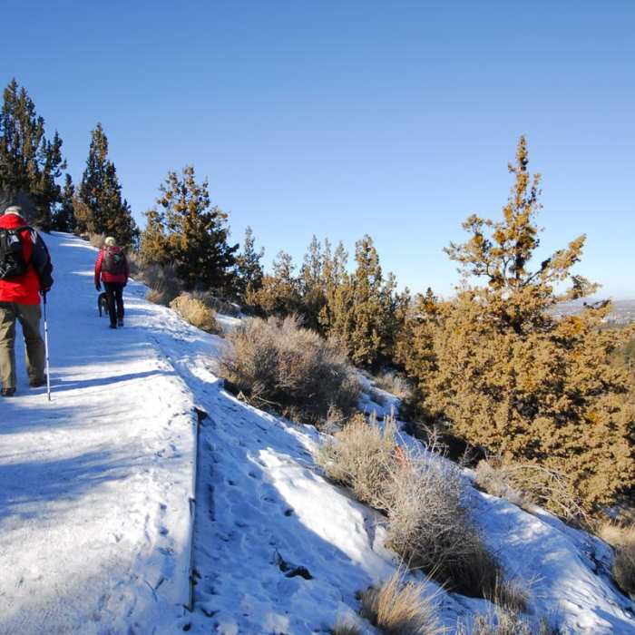 Near Pilot Butte Summit Trail