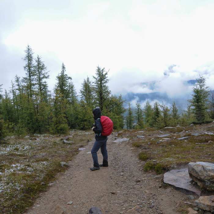 We had less than ideal weather on the Saddleback Trail, but it was still a nice hike! Near Saddleback Trail