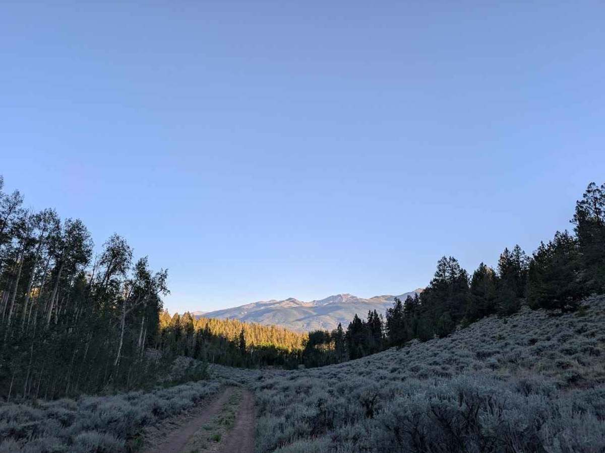 Poacher's Loop photo 6