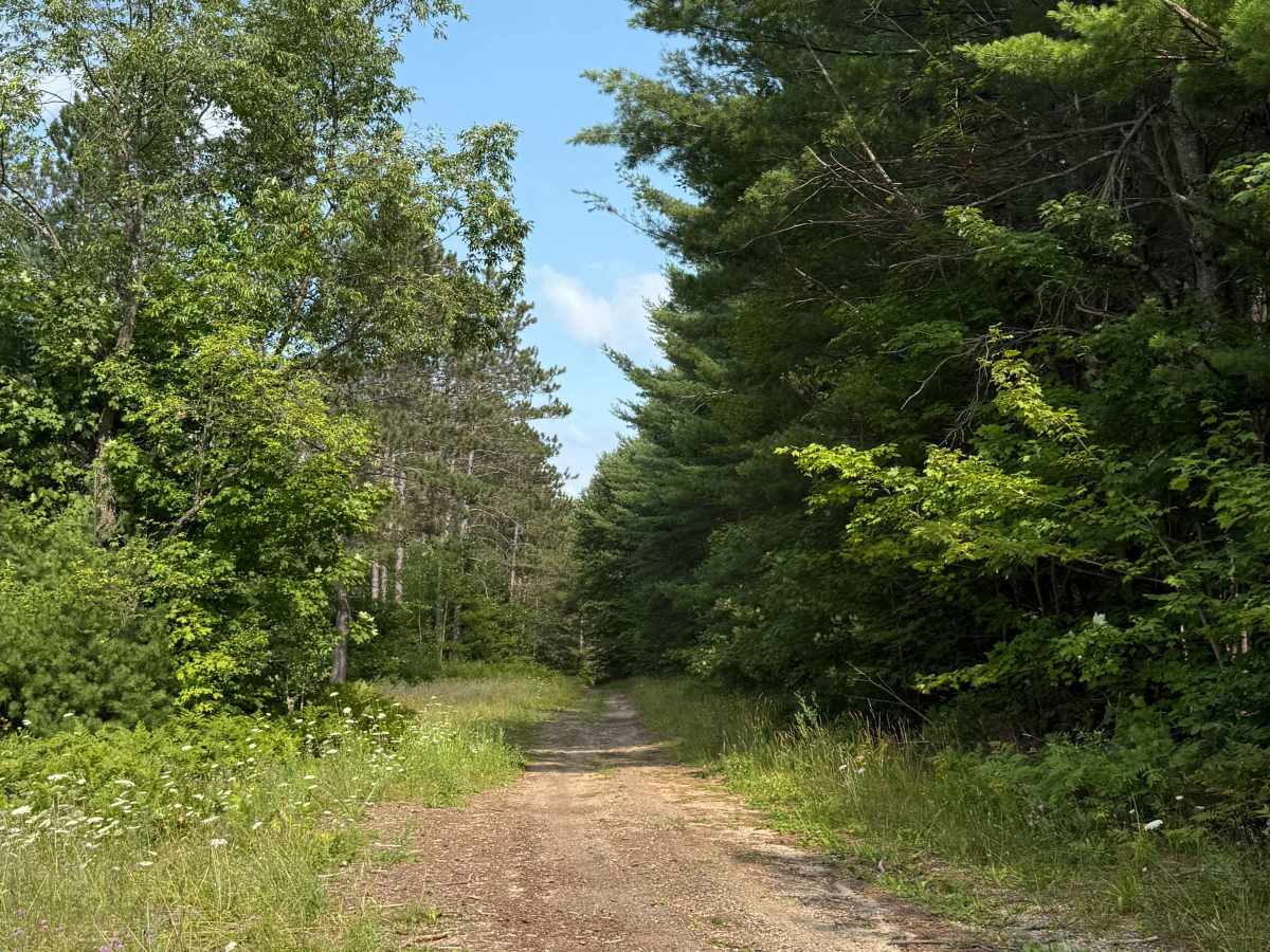 Healy-Henry North Trail photo 3