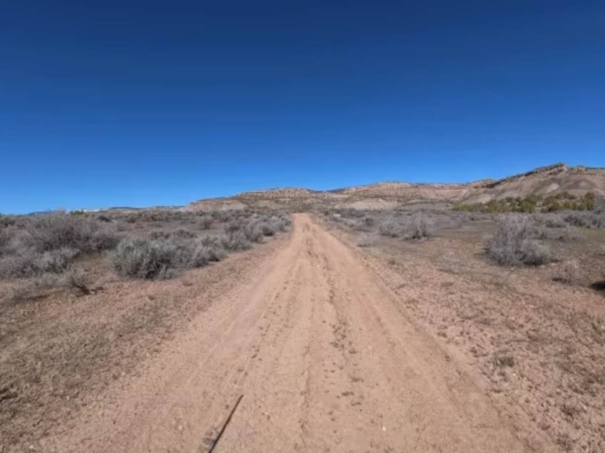 BLM 281 photo 3