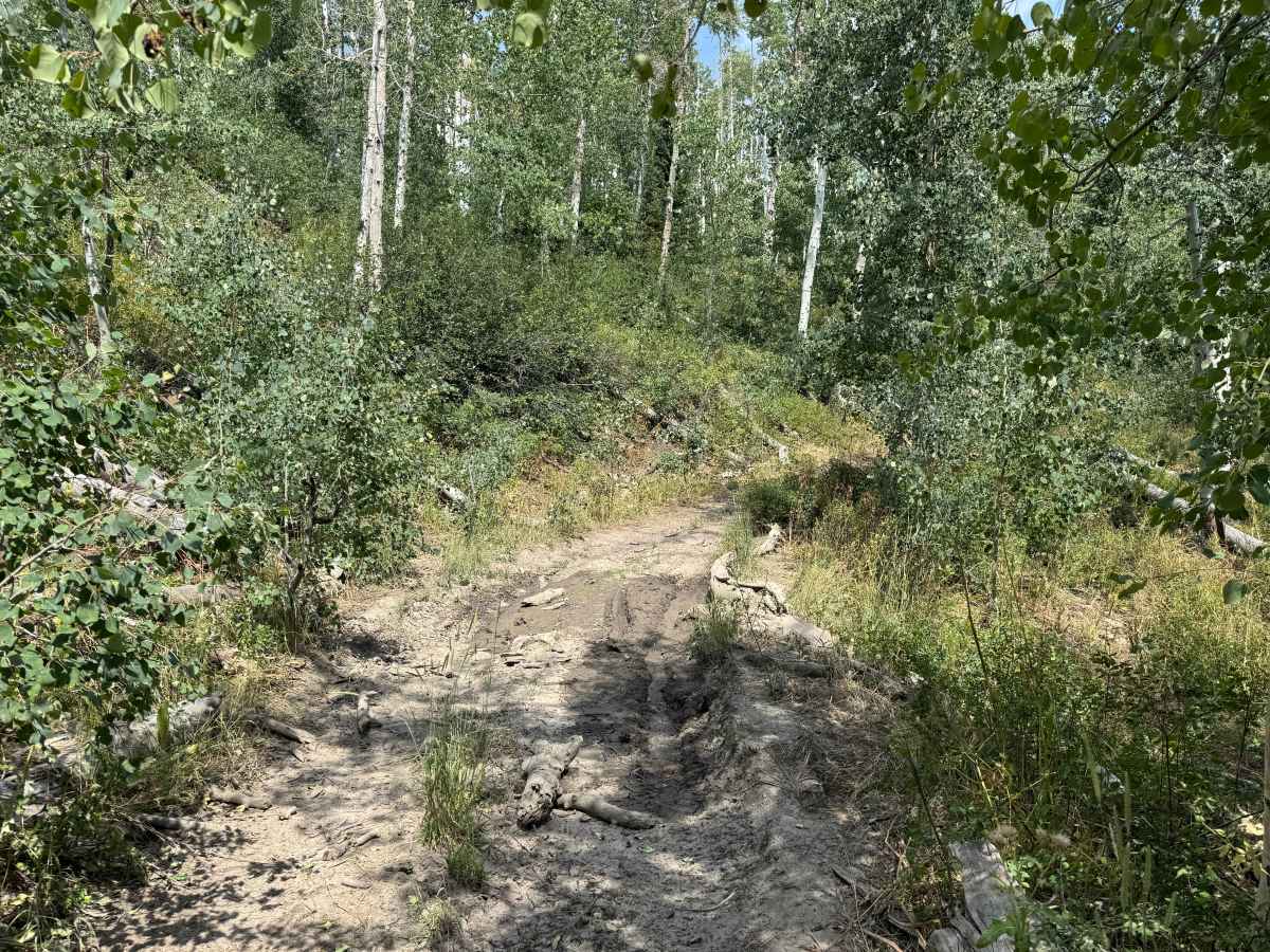 Blue Jay Mine Road photo 5