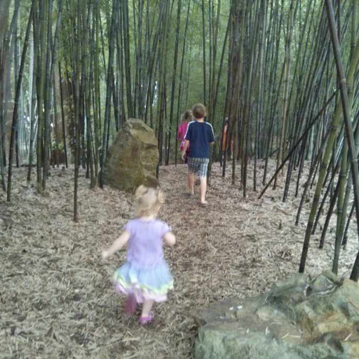 Exploring! Near Botanical Gardens Walking/Jogging Trail