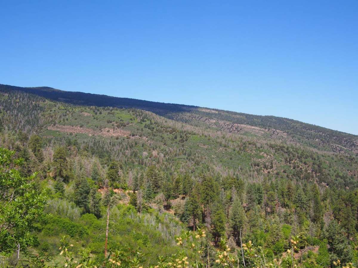 Palo Duroso Canyon photo 5