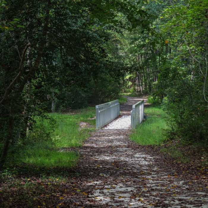 Near Loop Trail Near Loop Trail