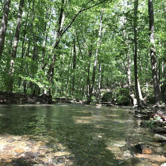 Near Caney Creek Trail