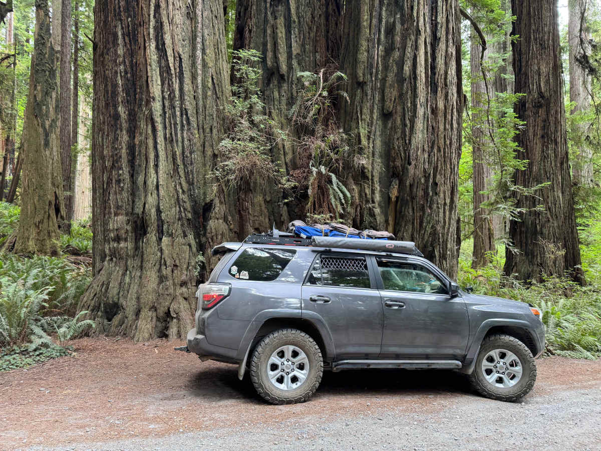 Cal Barrel - Redwood National Park photo 5