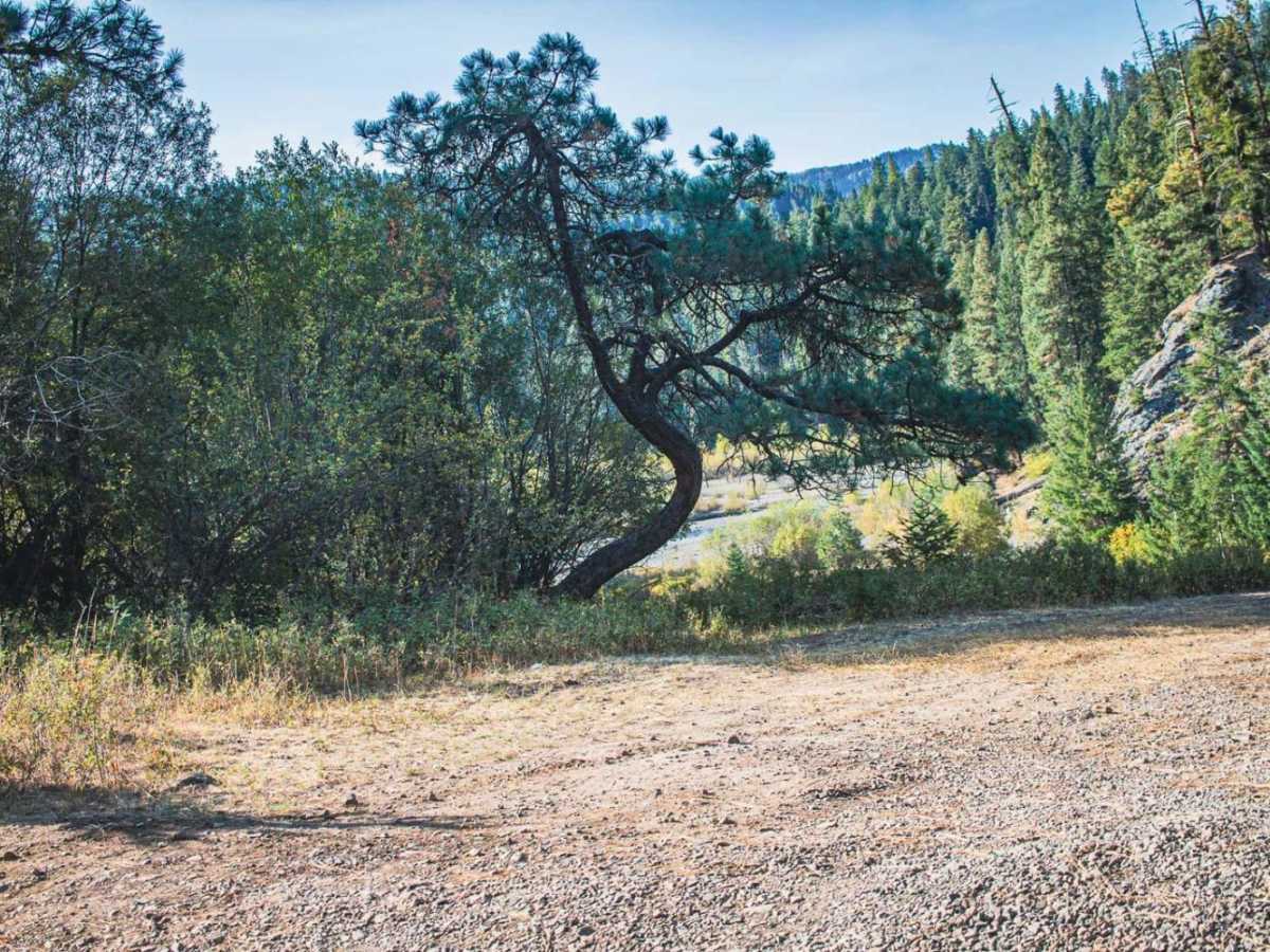Fish Creek photo 6
