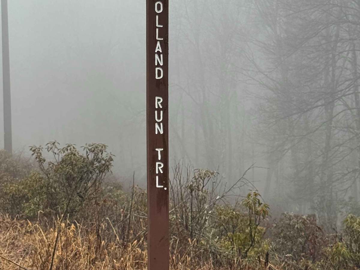 Holland Run Trail trail photo