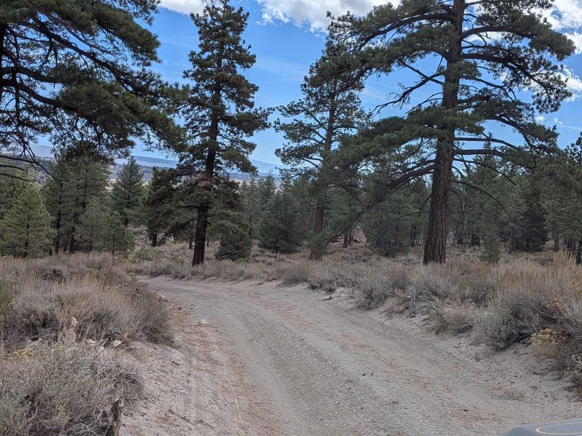 FS 3S132 trail photo