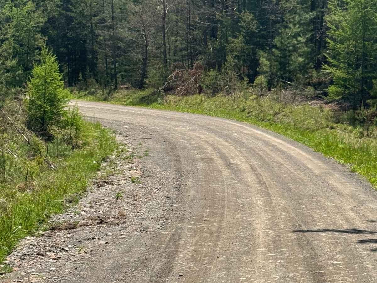 Woomers Divide Road photo 6