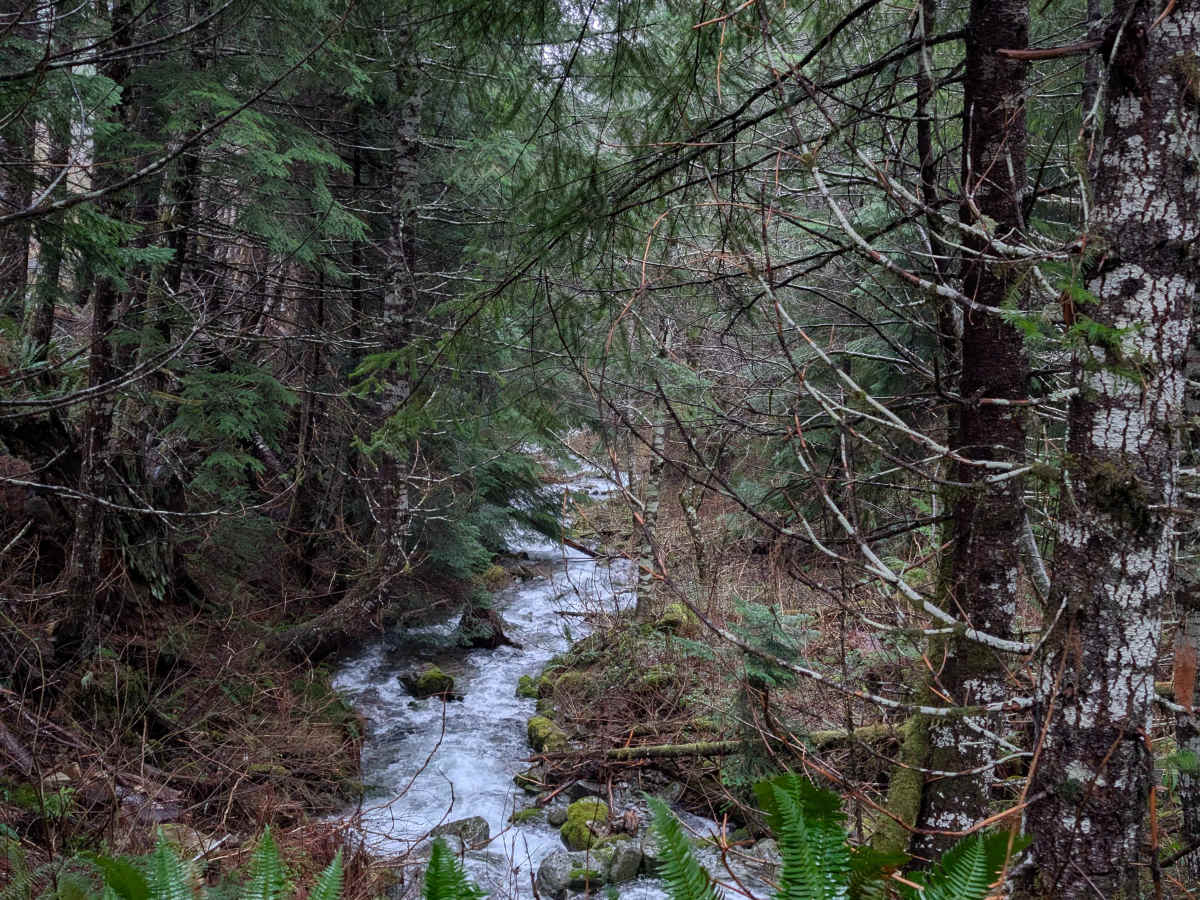 Jesse Creek photo 5