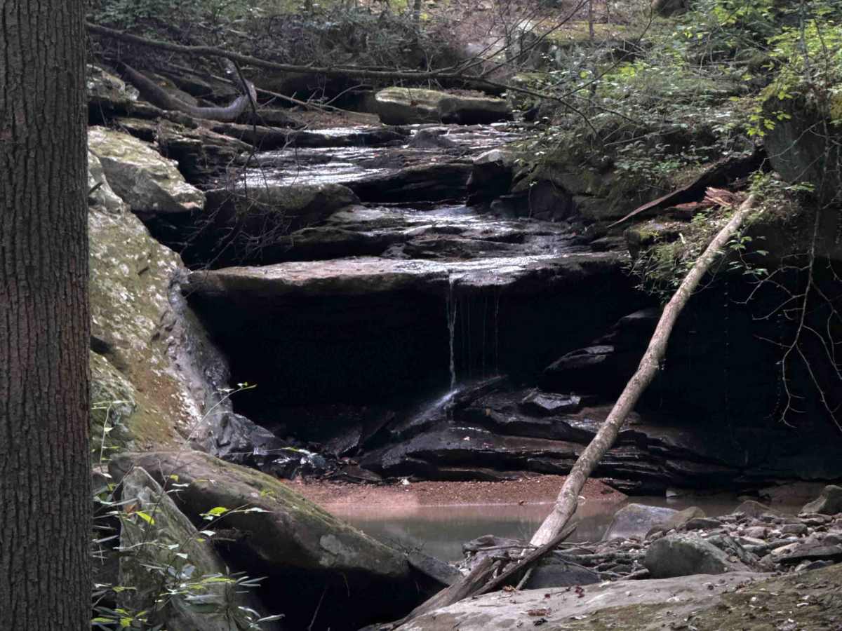 Brashy Fork Trail 6 photo 5