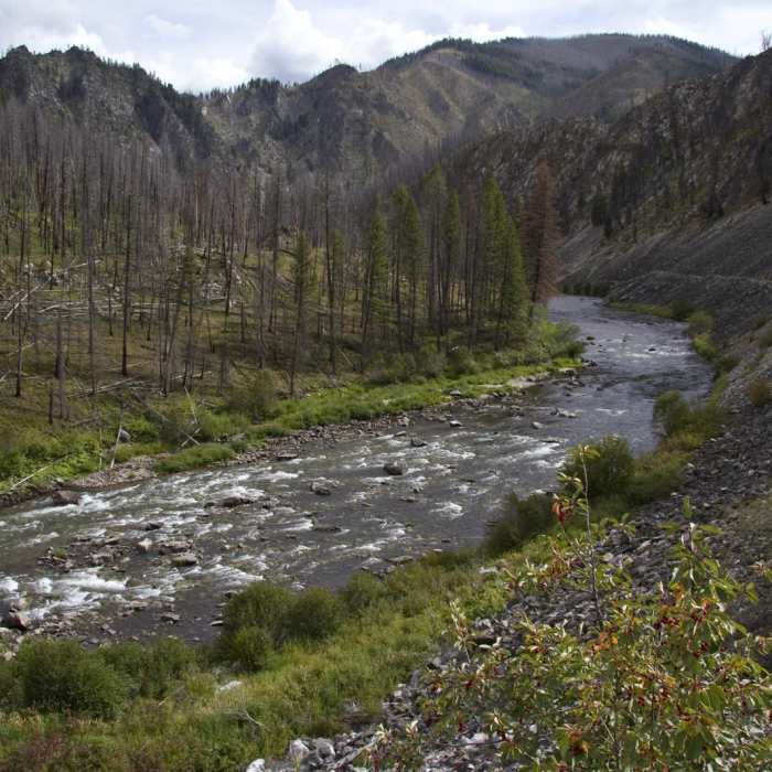 Near Middle Fork of the Salmon River Trail a Day 1