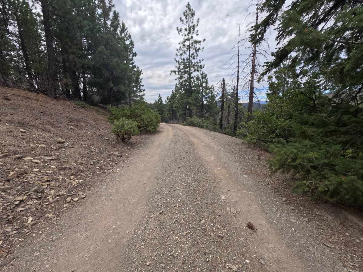 Lower Jumbo Springs - FS 20N63 photo 5