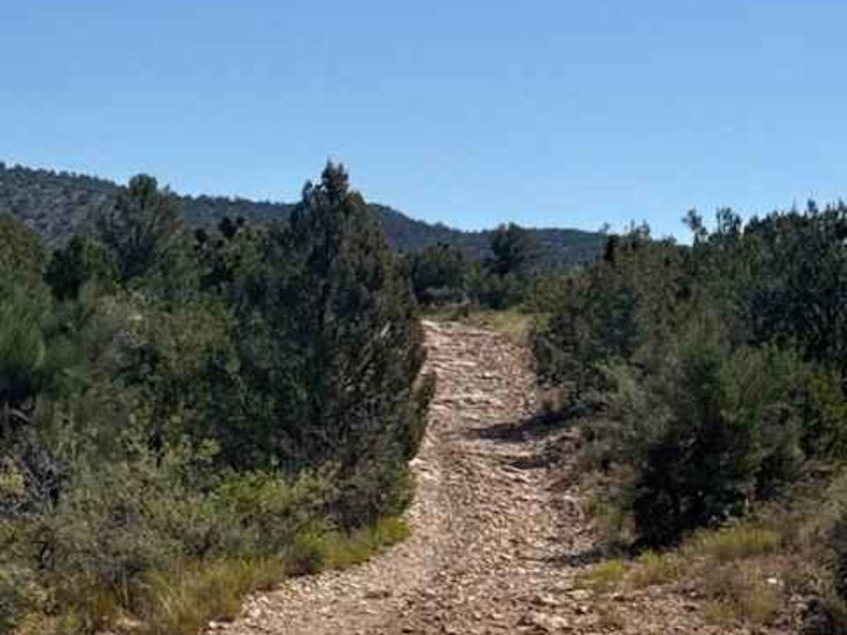 67 White Mountain Road photo 6