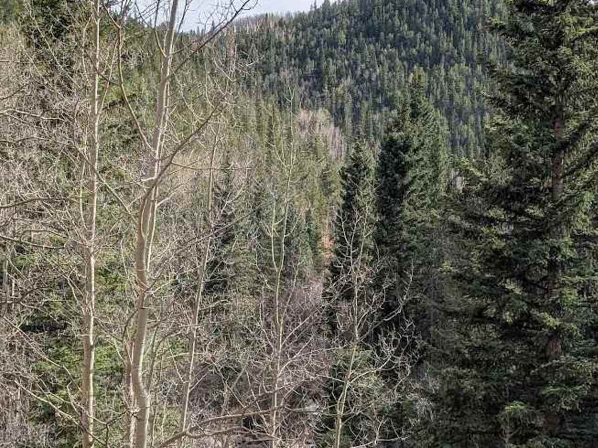 Seven Lakes Road photo 5