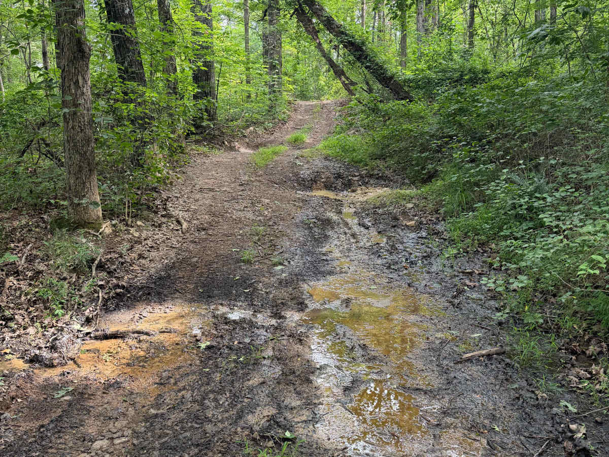 Rocky Ledge photo 6