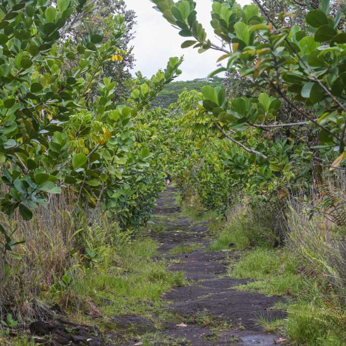 Near Ha'ena Beach / Shipman Beach via Puna Coastal Trail