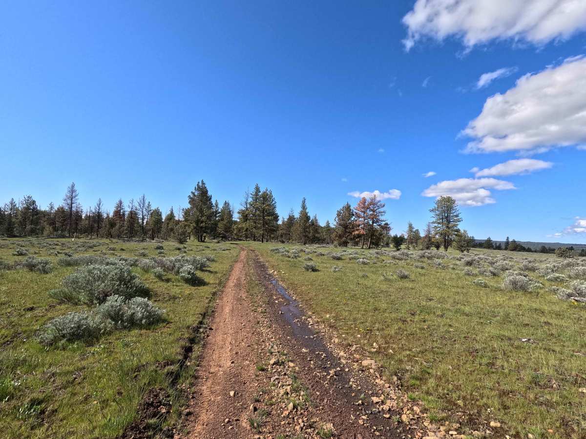 Trail 44 photo 2