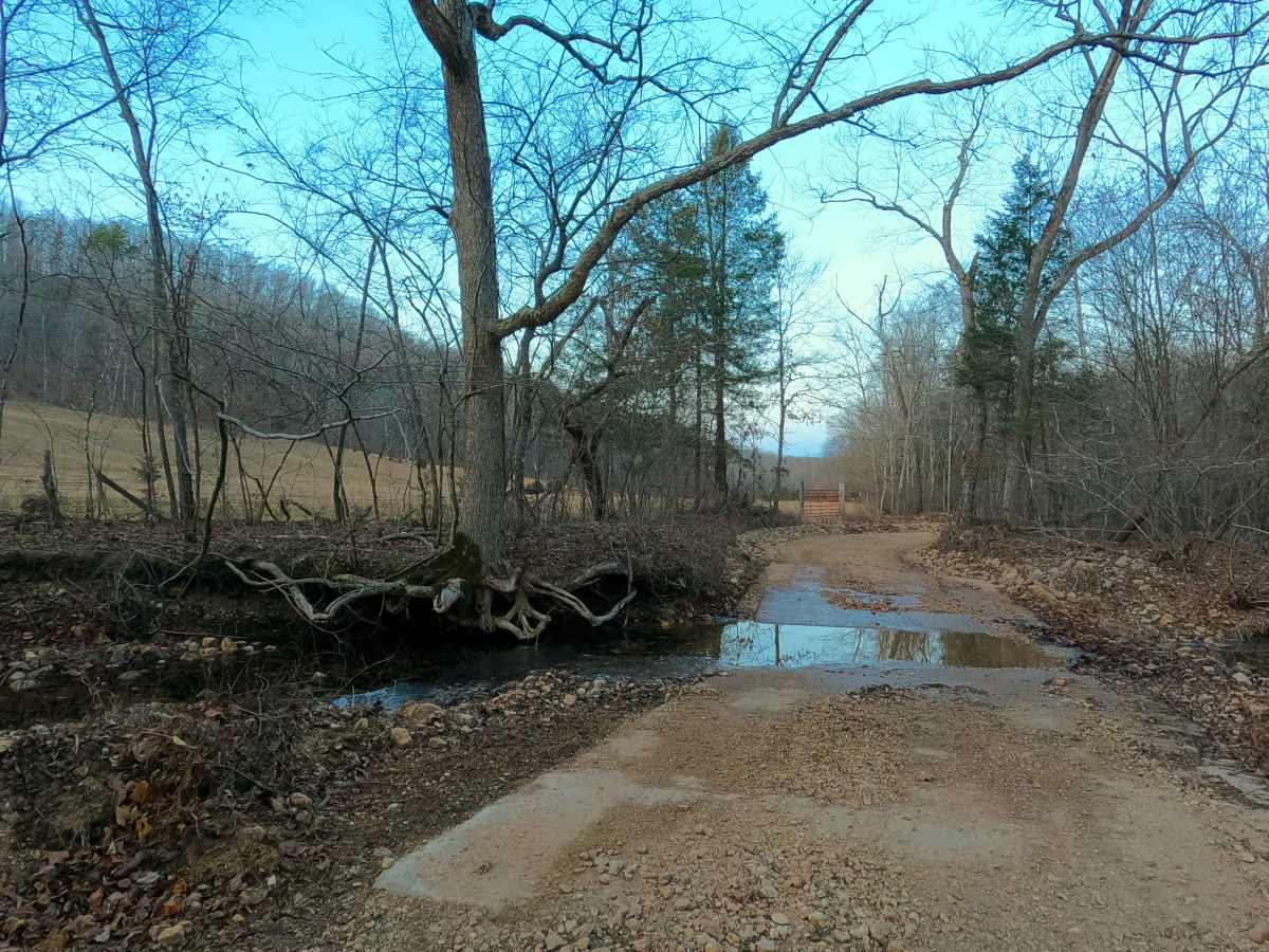 Missouri Branch - RCR 828 photo 6