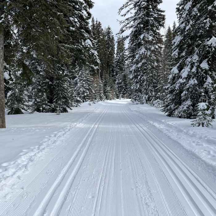 Near Red Fox Racetrack