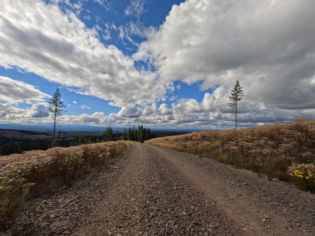 W-540 trail photo