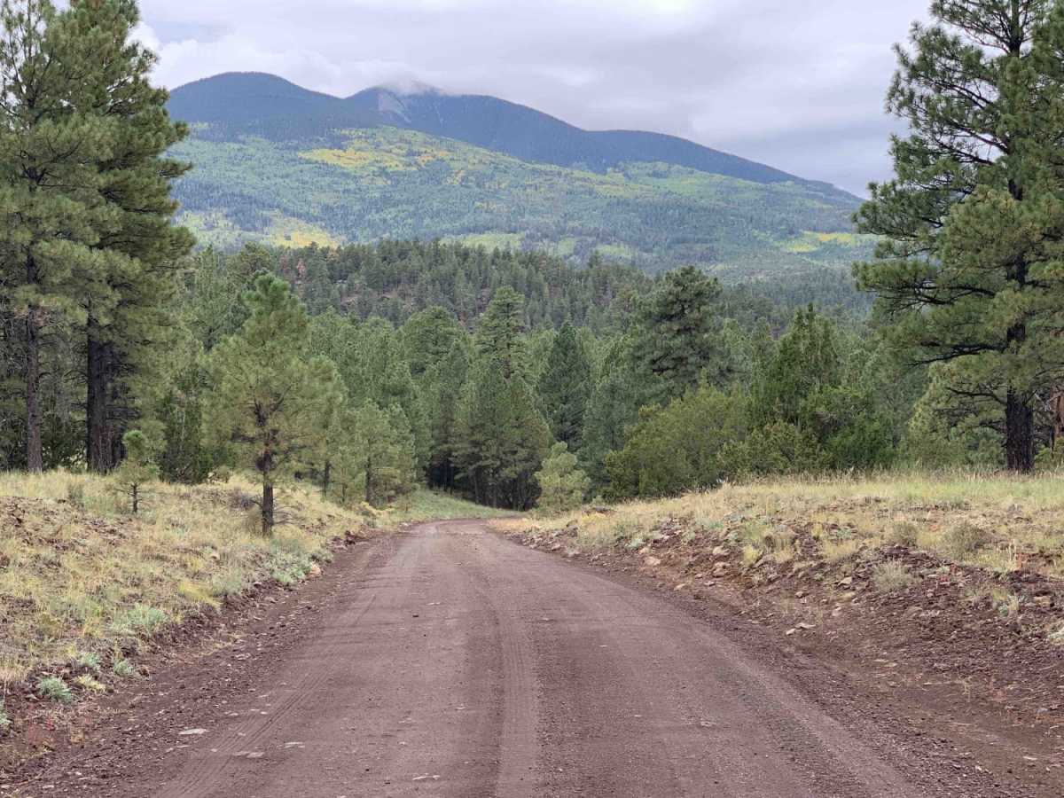 White Horse Trail trail photo