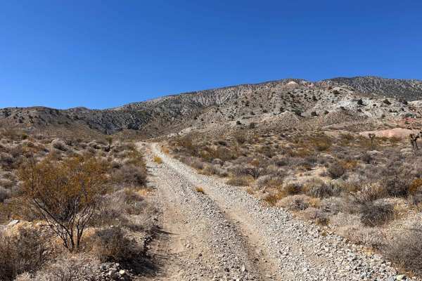 Widowmaker Gulch