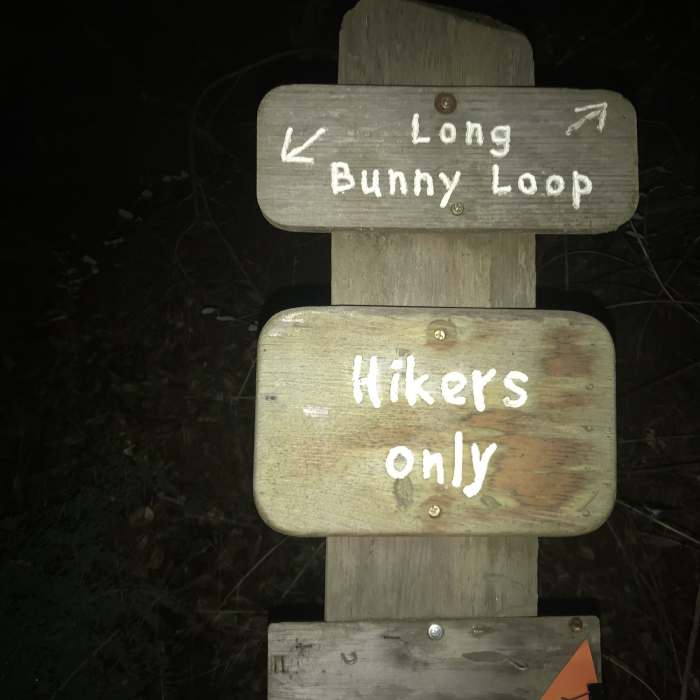 Near Hostel/Grapevine/Creek Trail Loop