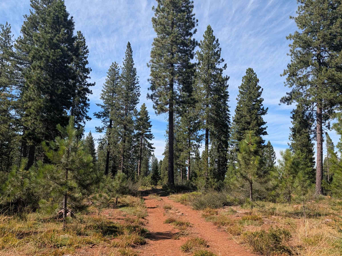 Stillwater Addition - FS 40N86 trail photo