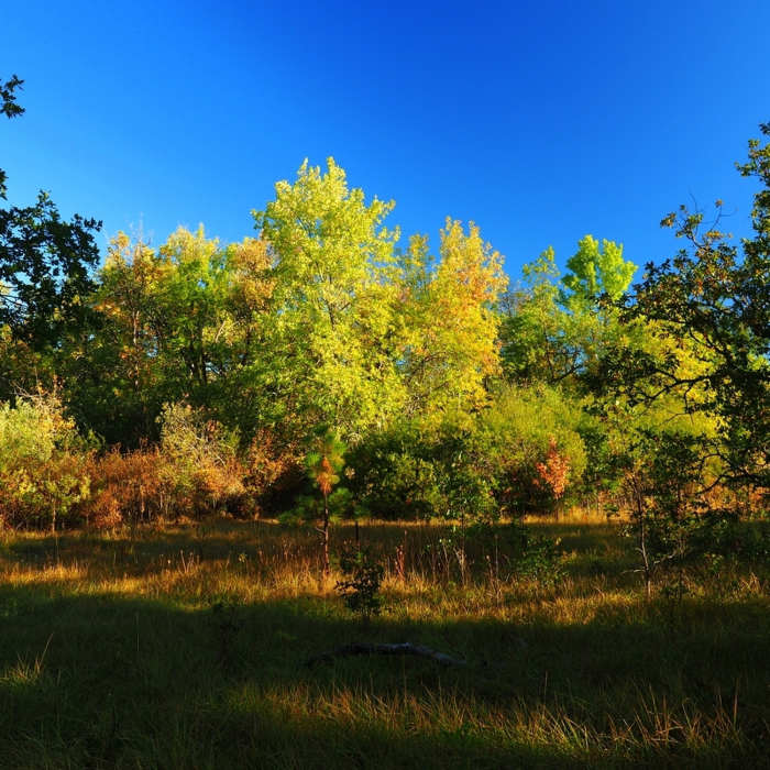 Near TouVelle Nature Trail
