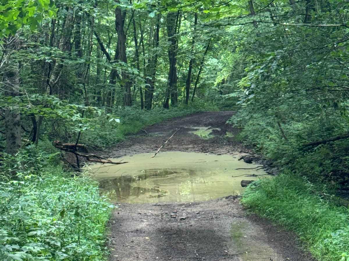 Trail 73 photo 6