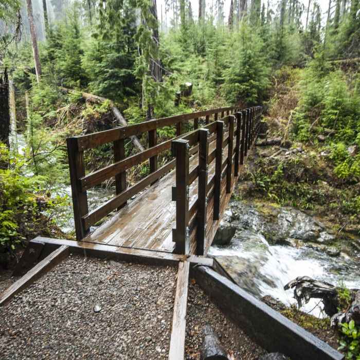 Near Quinault National Recreation Trail System, Gatton Creek Falls Loop