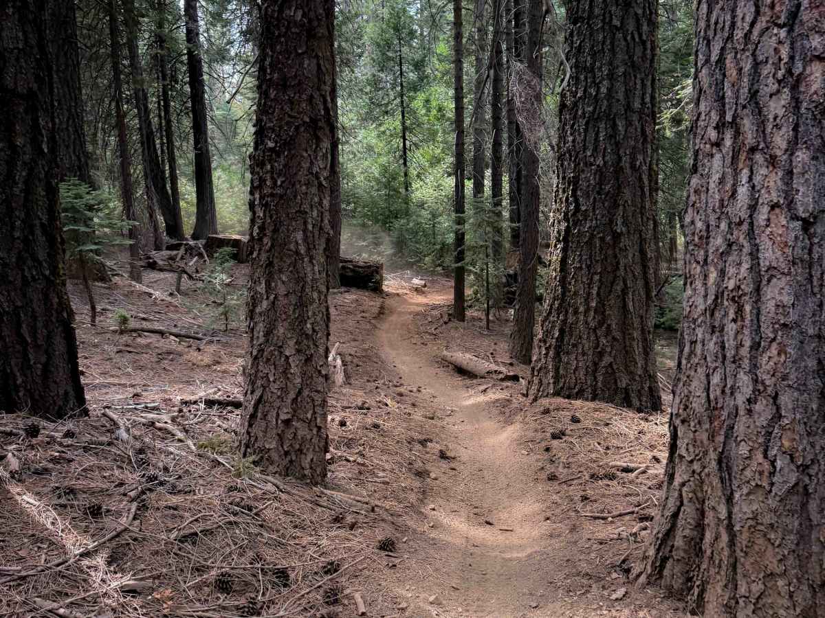 Omega Overlook (#54)  trail photo