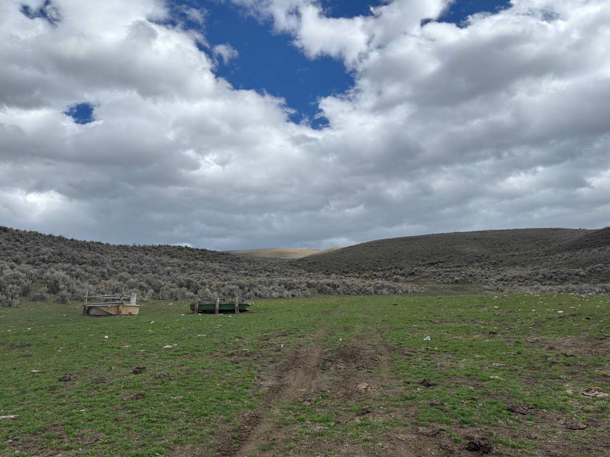 BLM Trail 137 photo 4