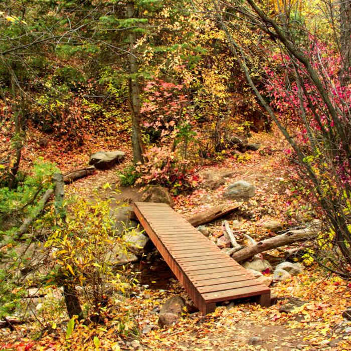 Near Grotto Falls Trail