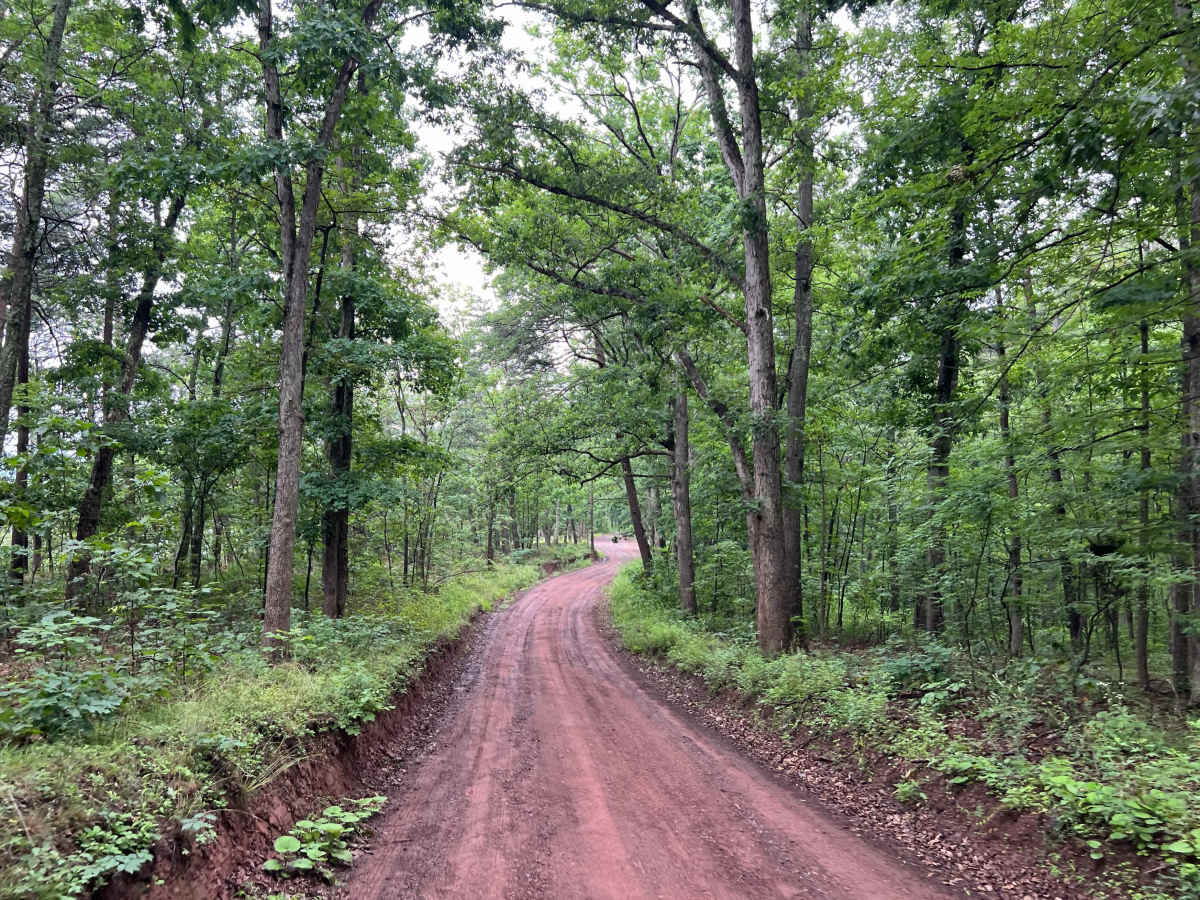Caroll Road photo 4
