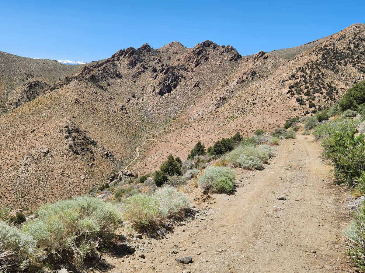 Rickey Canyon - BLM P-11 photo 2