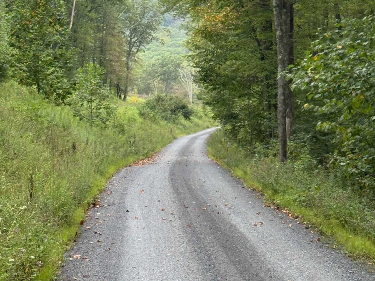 Hagerman Run Road photo 6