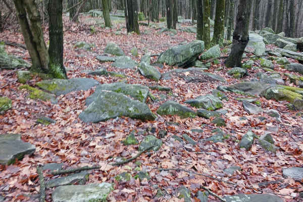 OHV 36 - Rock Run Recreation Area