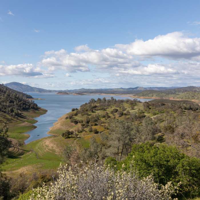 Near Peoria Flat Road