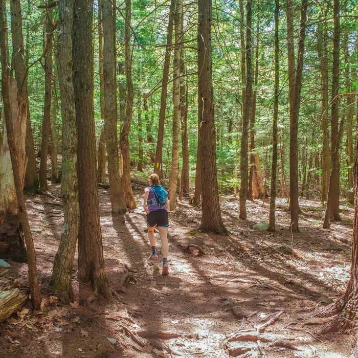 Near Squam Range Extended Loop Hike via Crawford Ridgepole Trail Near Squam Range Extended Loop Hike via Crawford Ridgepole Trail